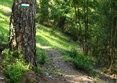 Las sendas recorren por antiguas trochas de madera durante buena parte del recorrido