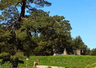 En el plano del Cubilar de las Vacas, ideal lugar para reposar en su refugio cuidado.