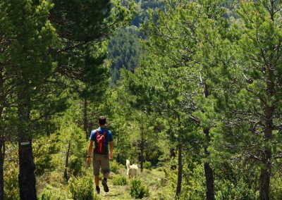 Bajando por el cerro, la senda se torna más "mediterránea, más calurosa, por ello es mejor realizar el camino en la dirección recomendada.