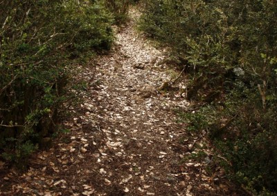 Sendero precioso en la ascensión a Grosín