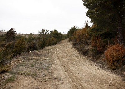 Una pista genial para recorrer en bicicleta de montaña