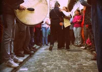 Jornadas micológicas primaverales de Borau 2014