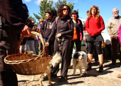 Jornadas micológicas primaverales de Borau 2014