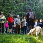 Jornadas micológicas primaverales de Borau