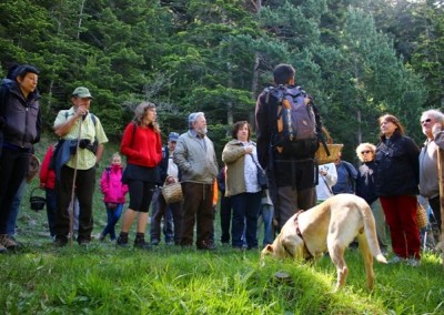 Jornadas micológicas primaverales de Borau