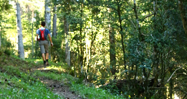 I Jornadas de recreación en la Red de Senderos de Borau