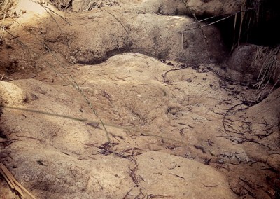 Ruta Circular al Barranco del Calcil. Foto: Ojospirenaicos.es