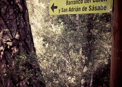 Ruta Circular al Barranco del Calcil. Foto: Ojospirenaicos.es