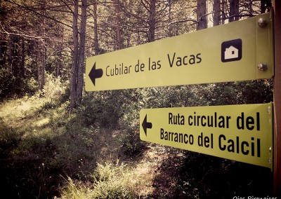 Ruta Circular al Barranco del Calcil. Foto: Ojospirenaicos.es