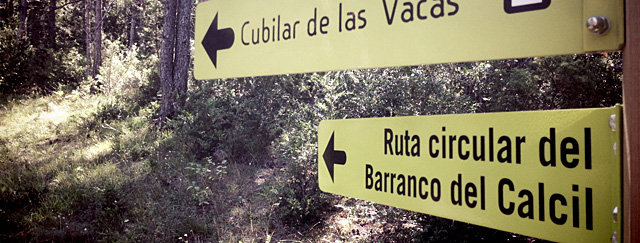 RUTA CIRCULAR AL BARRANCO DEL CALCIL