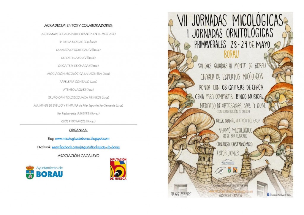 Jornadas micológicas 2016