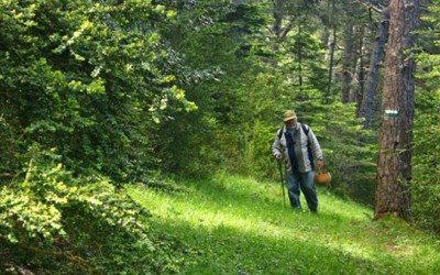 Jornadas micológicas de primavera 2016