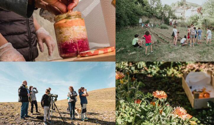 La vida en el campo – Tiempo de Recolecta