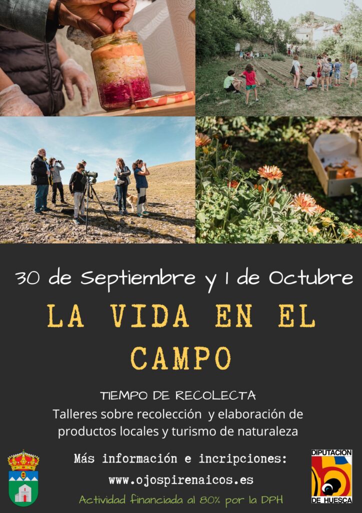 LA VIDA EN EL CAMPO – Tiempo de Recolecta – 30 de Septiembre y 1 de Octubre de 2023